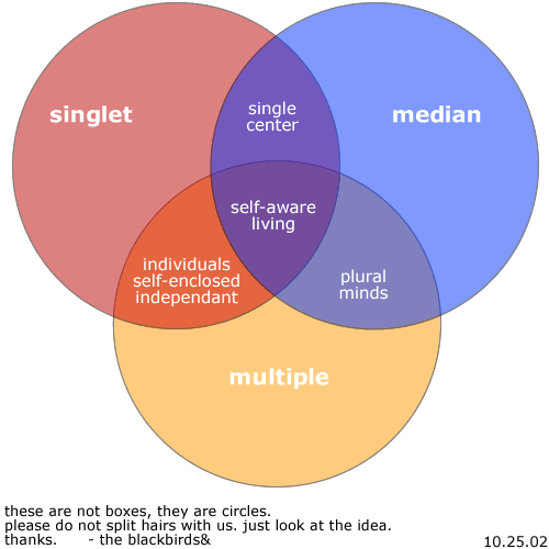 other words for multiple personality disorder